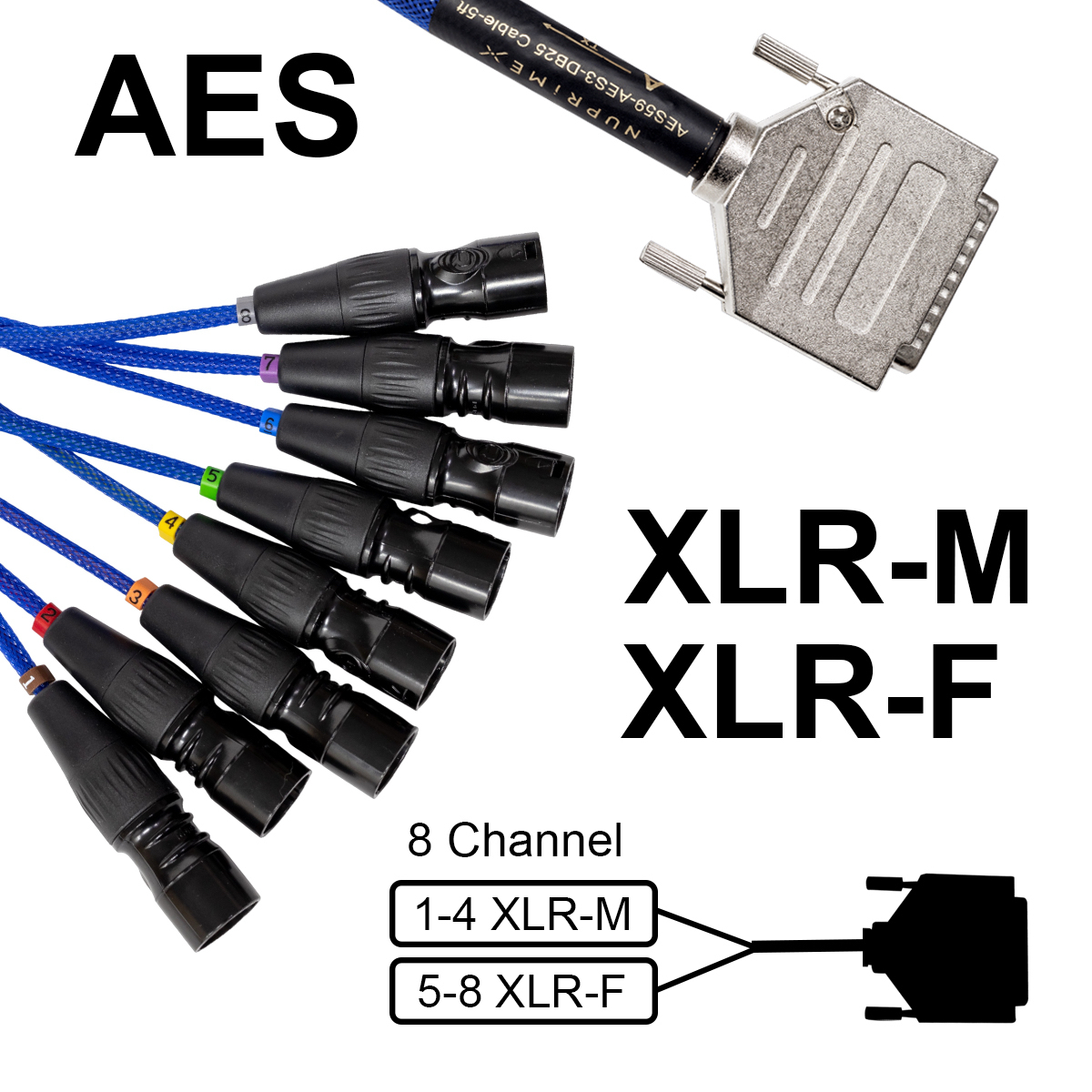 AES-Core DB25-XLR - Image 2